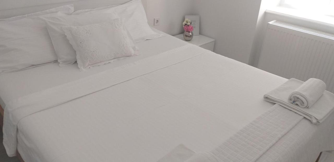 Apartment Luxurios And Historic 