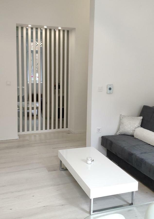 Apartment Luxurios And Historic 