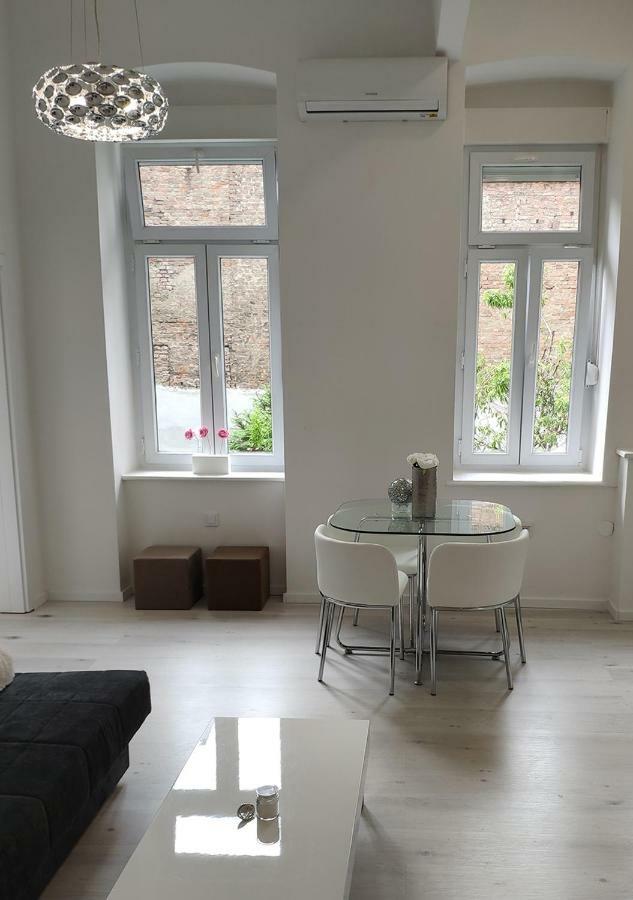 Apartment Luxurios And Historic 
